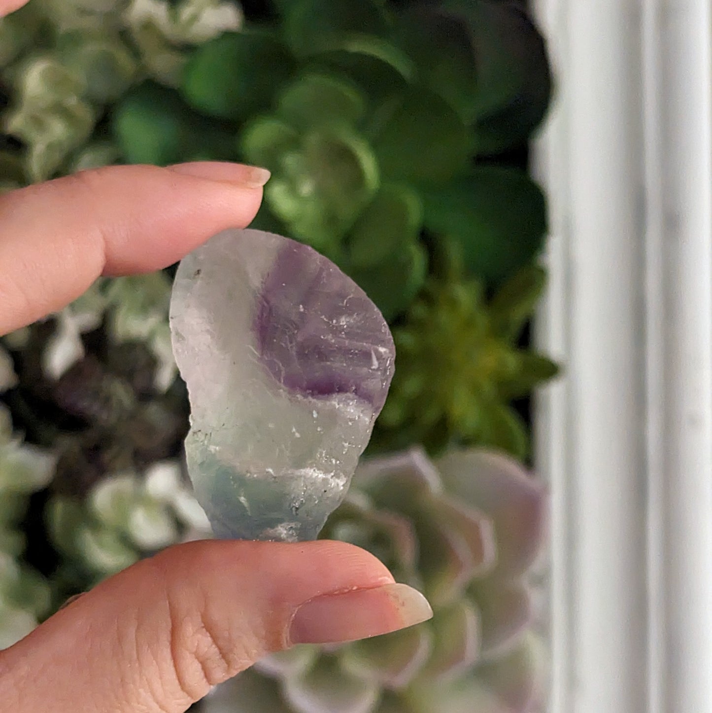 A crystal with purple and green striations being held up with succulents in the background.